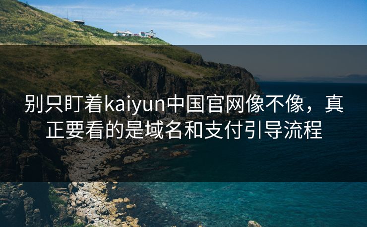 别只盯着kaiyun中国官网像不像，真正要看的是域名和支付引导流程